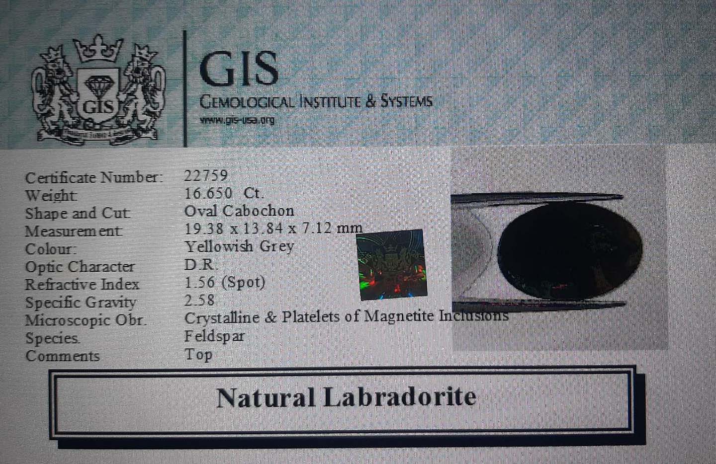 Labradorite 16.65 Ct.