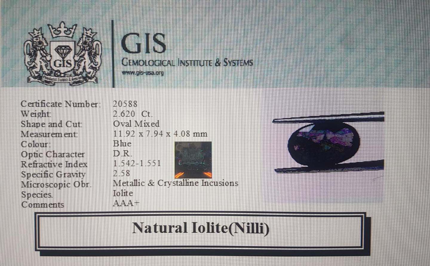 NIL891 4 Iolite(Nilli) 2.62 Ct.