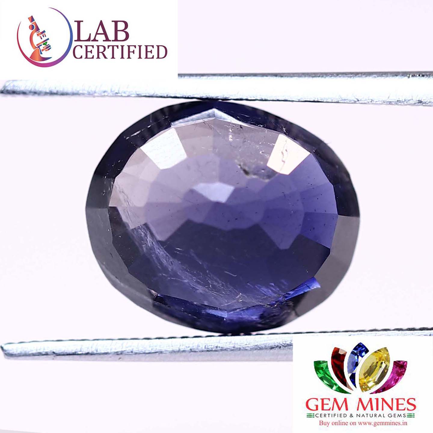 NIL901 2 Iolite(Nilli) 3.99 Ct.