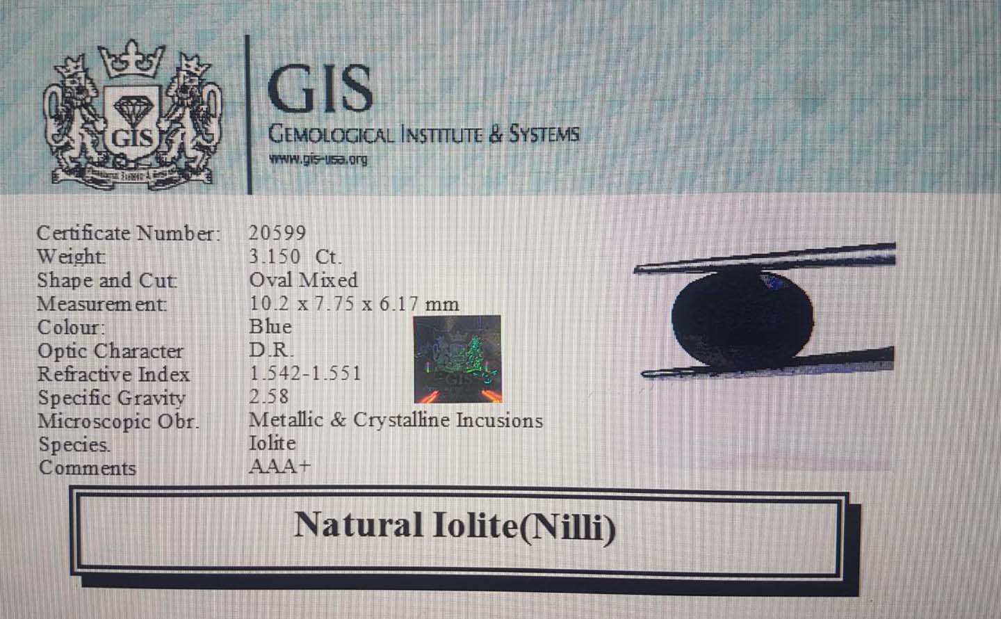 NIL902 4 Iolite(Nilli) 3.15 Ct.