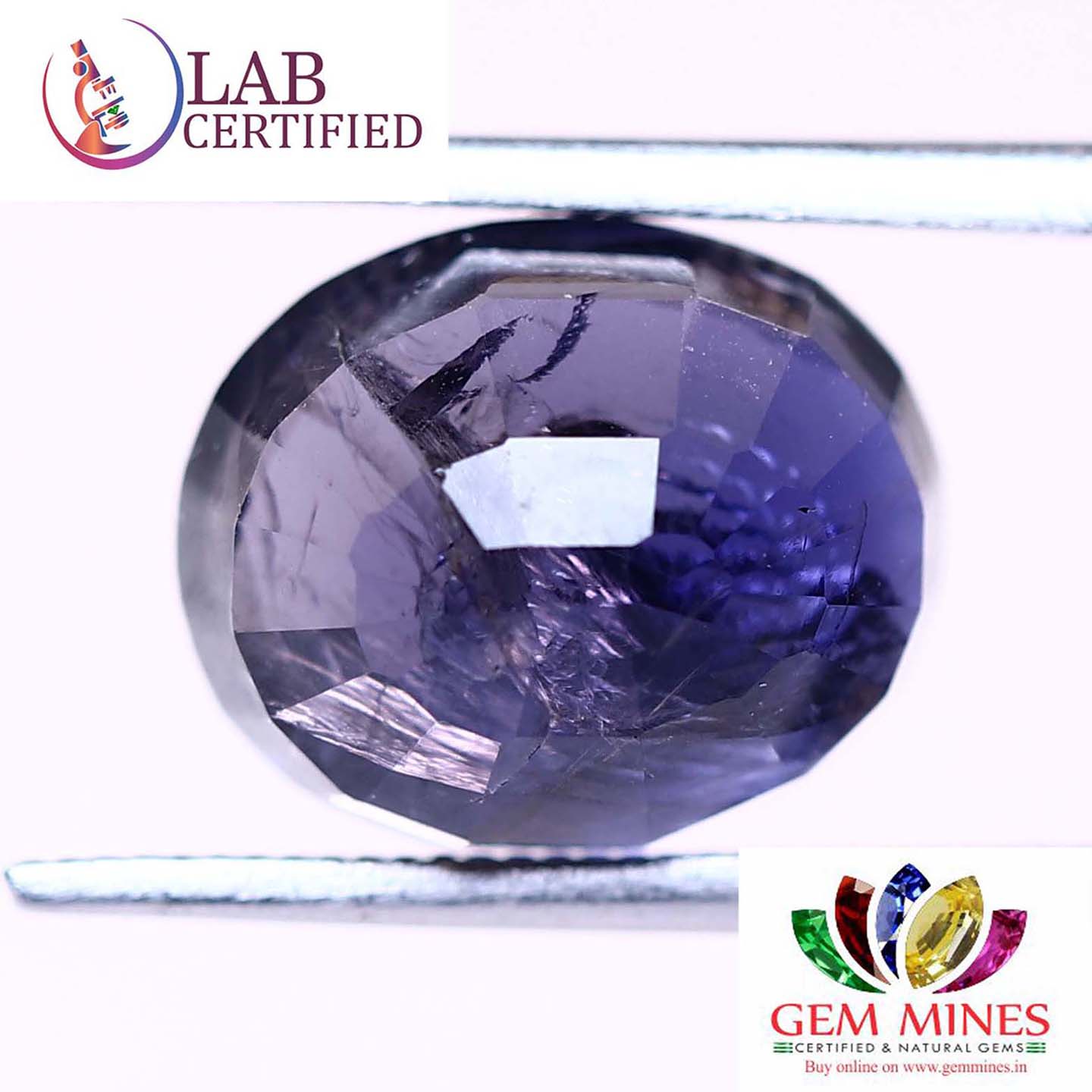 NIL912 2 Iolite(Nilli) 3.79 Ct.