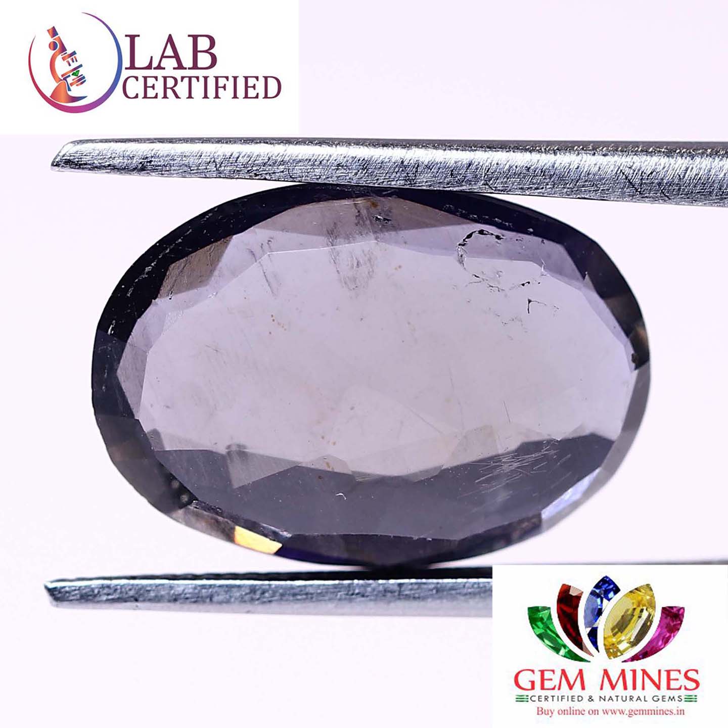 NIL919 2 Iolite(Nilli) 2.94 Ct.