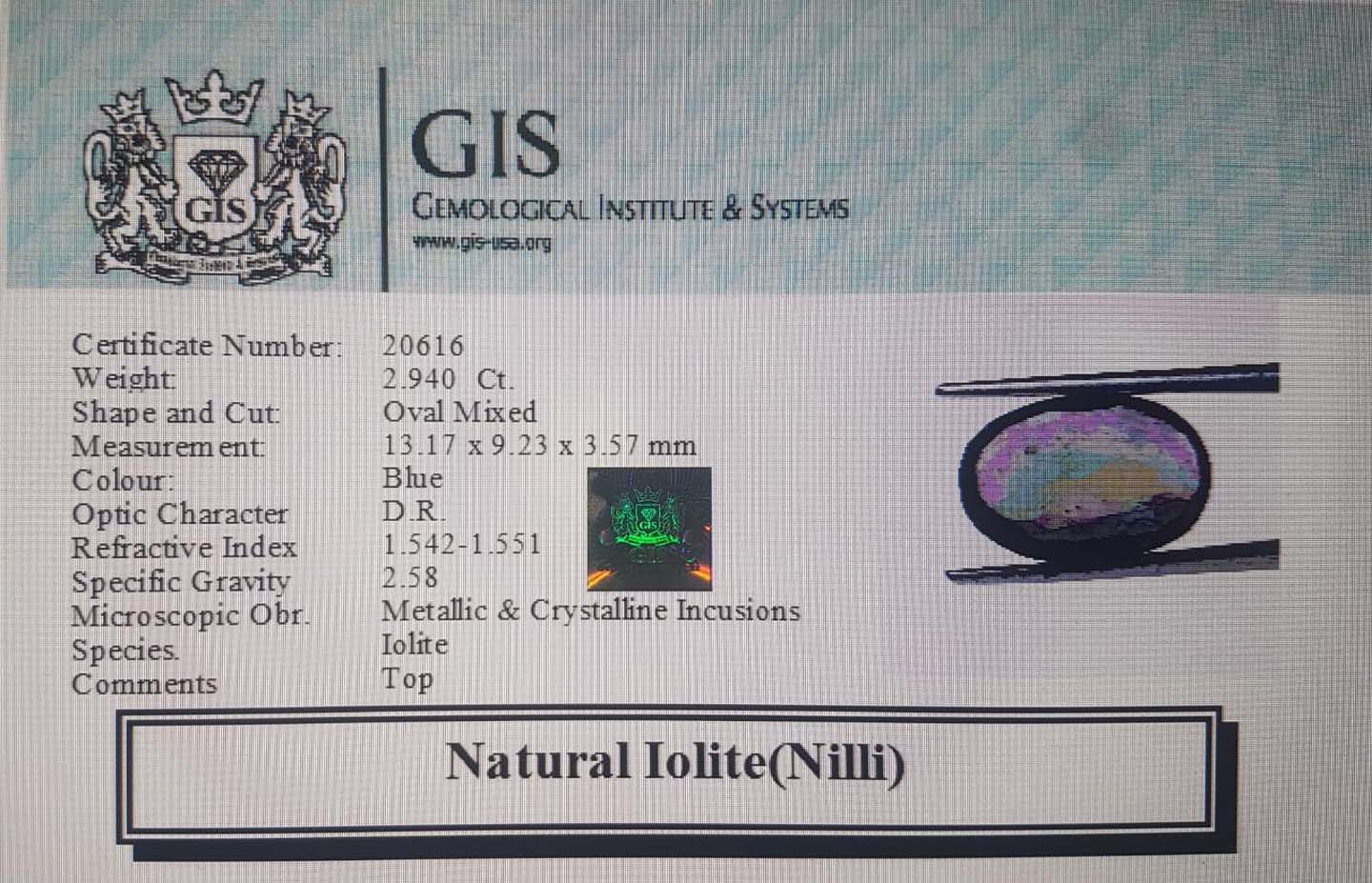 NIL919 4 Iolite(Nilli) 2.94 Ct.