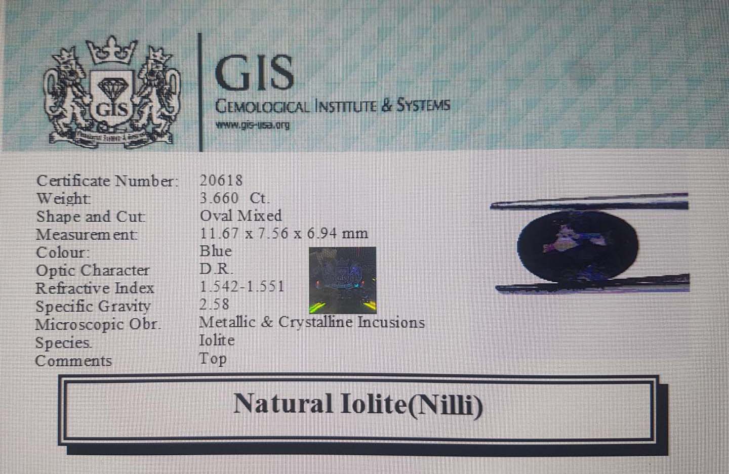 NIL921 4 Iolite(Nilli) 3.66 Ct.