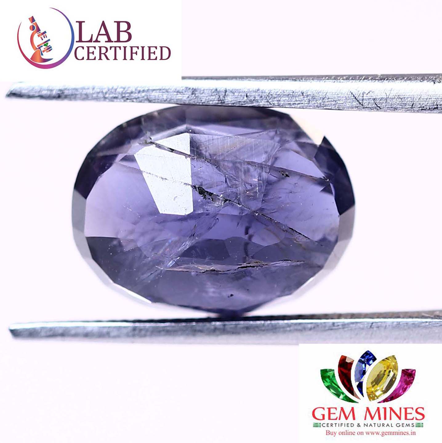 NIL934 2 Iolite(Nilli) 2.91 Ct.