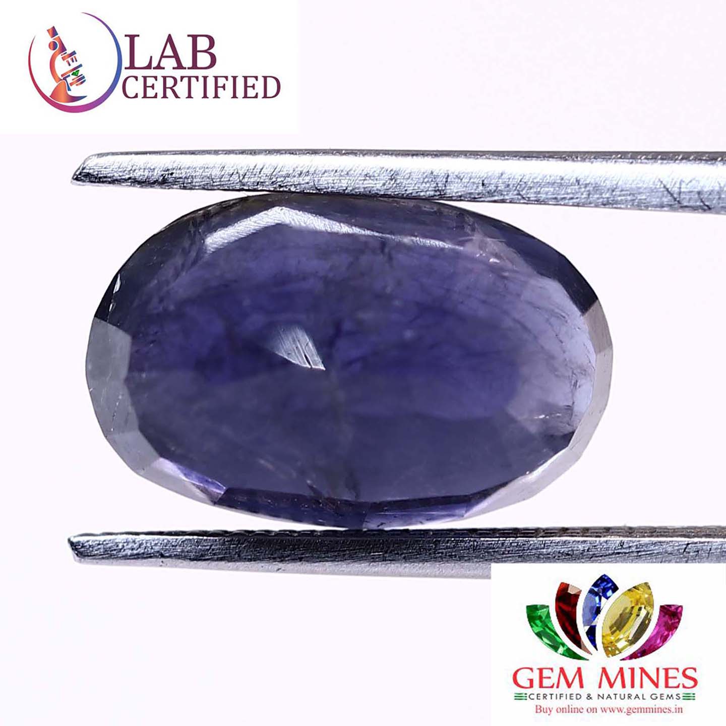 NIL939 2 Iolite(Nilli) 3.48 Ct.