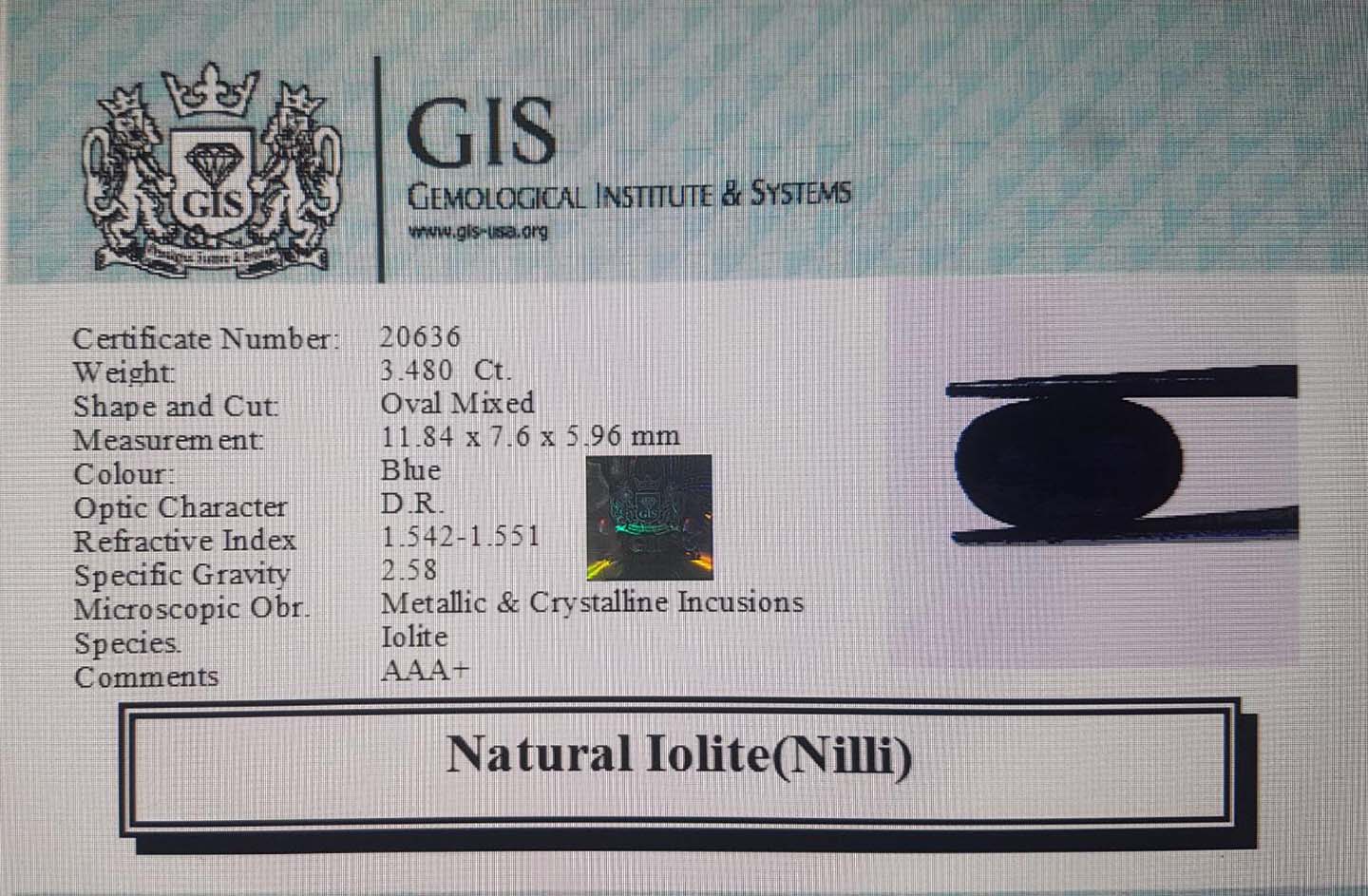 NIL939 4 Iolite(Nilli) 3.48 Ct.