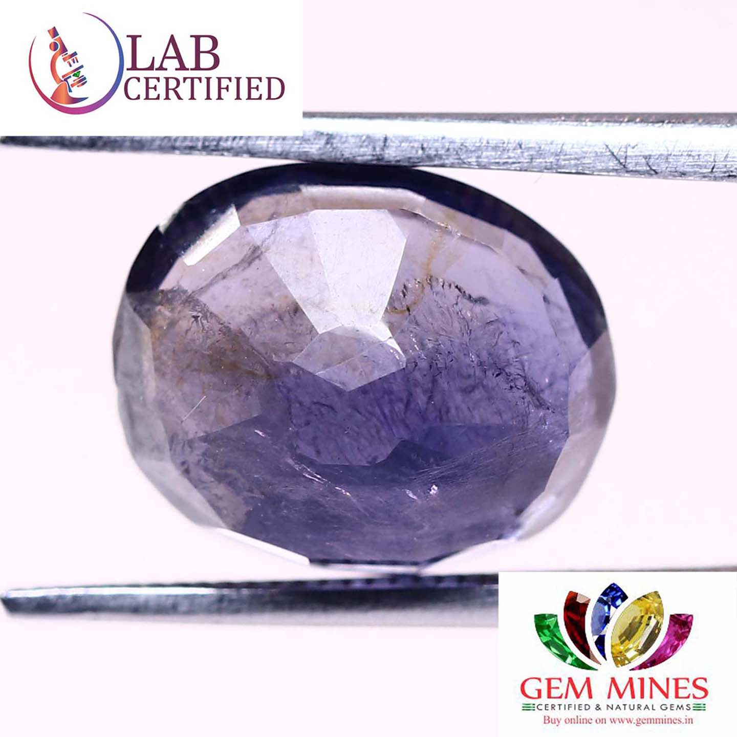 NIL946 2 Iolite(Nilli) 3.81 Ct.