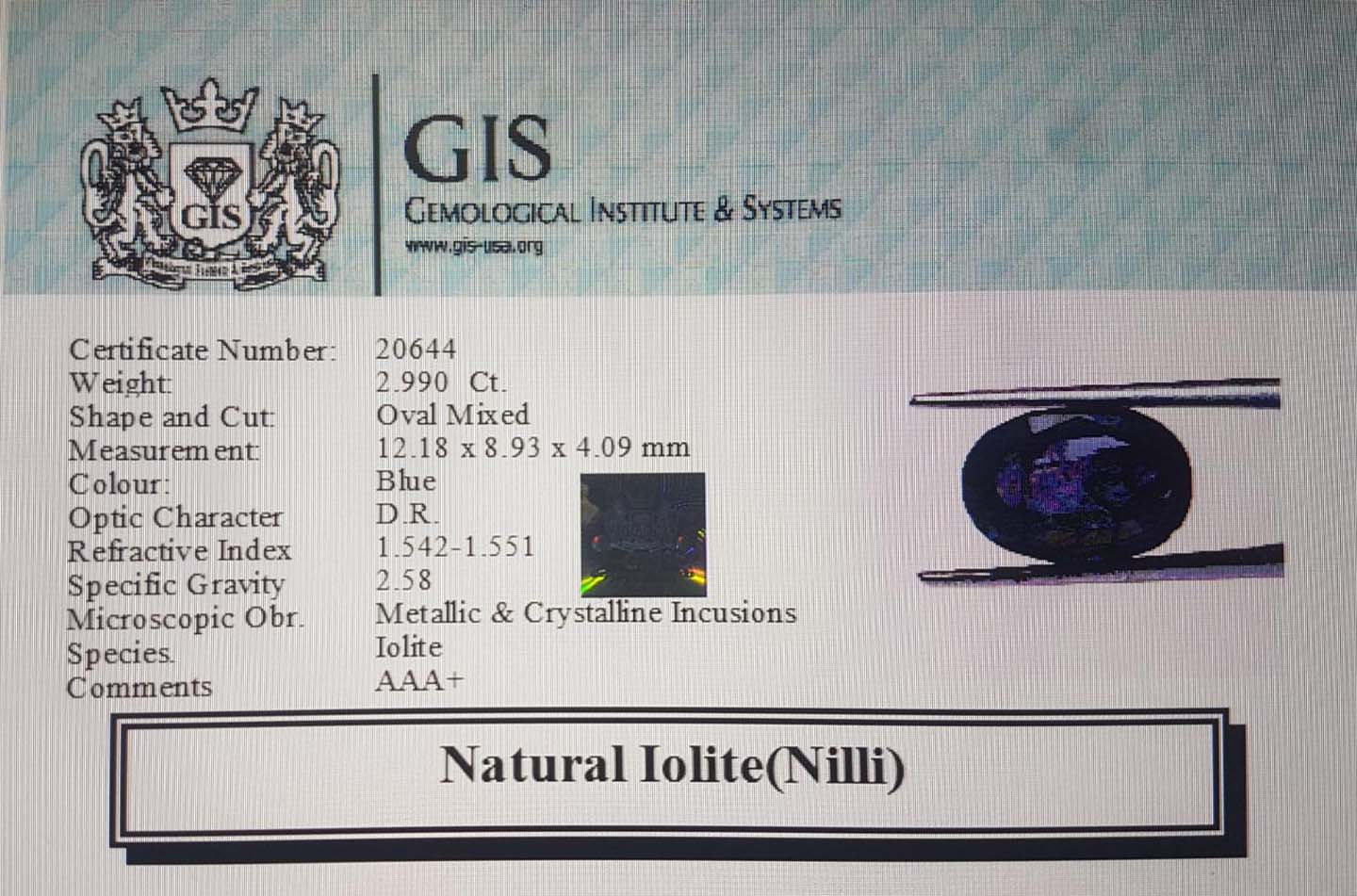 NIL947 4 Iolite(Nilli) 2.99 Ct.