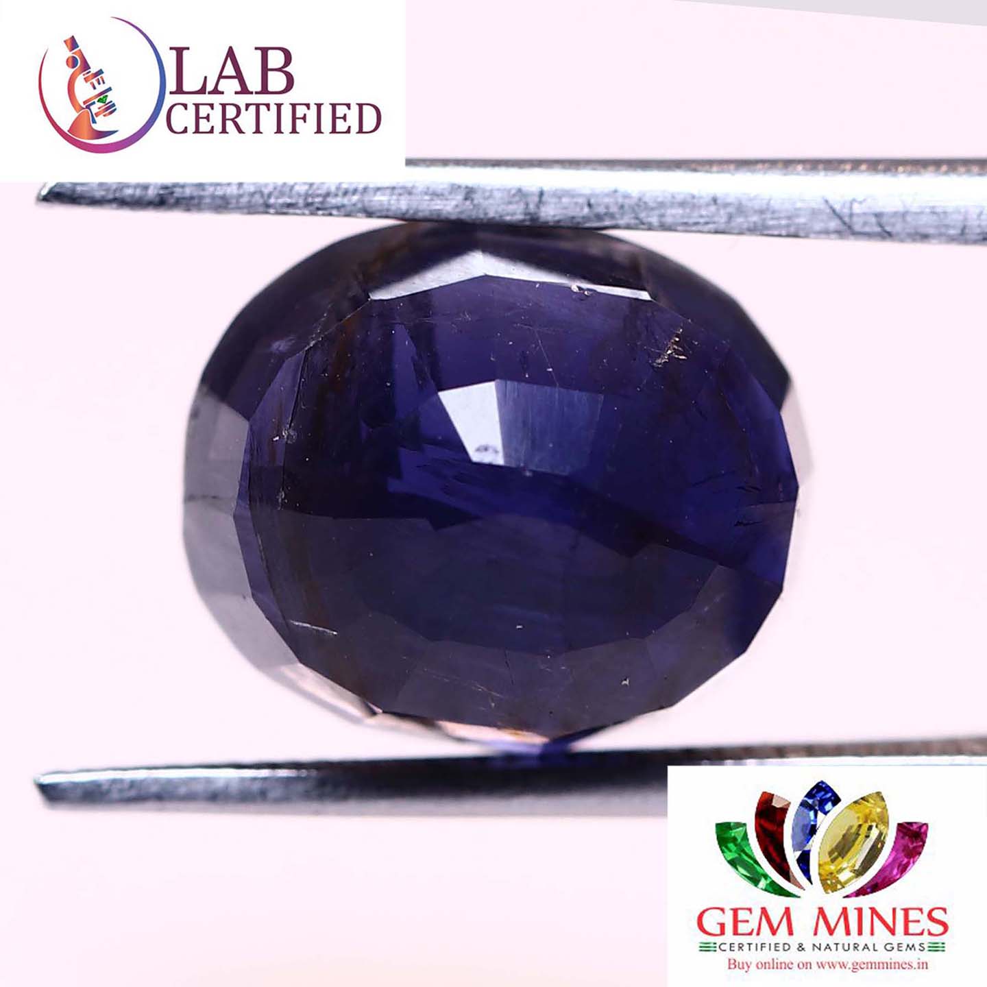 NIL948 2 Iolite(Nilli) 4.87 Ct.