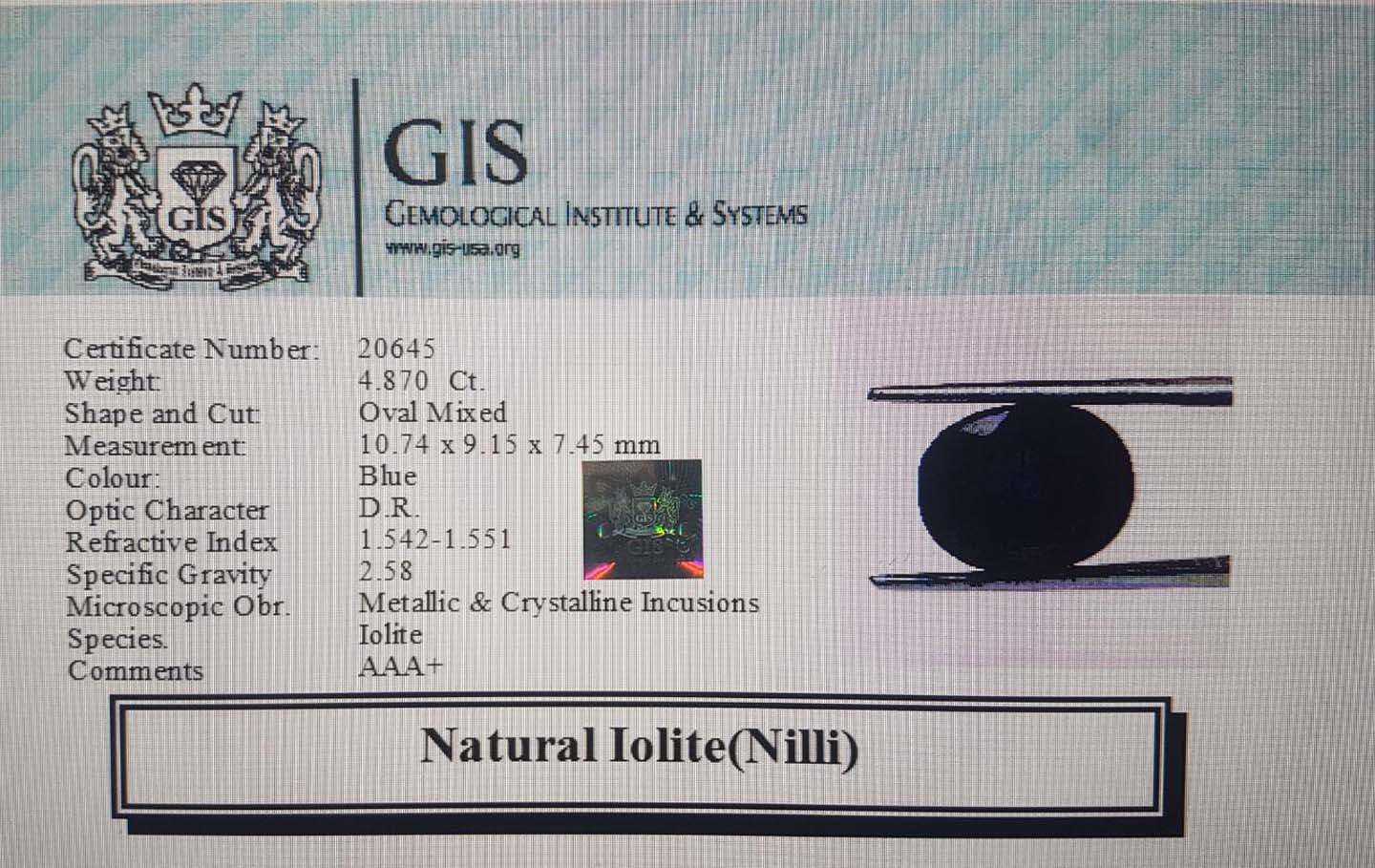 NIL948 4 Iolite(Nilli) 4.87 Ct.