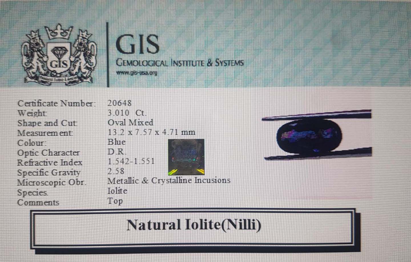 NIL951 4 Iolite(Nilli) 3.01 Ct.
