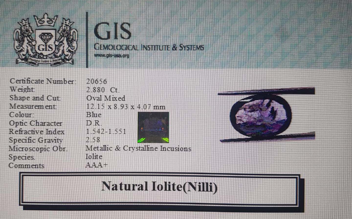 NIL959 4 Iolite(Nilli) 2.88 Ct.