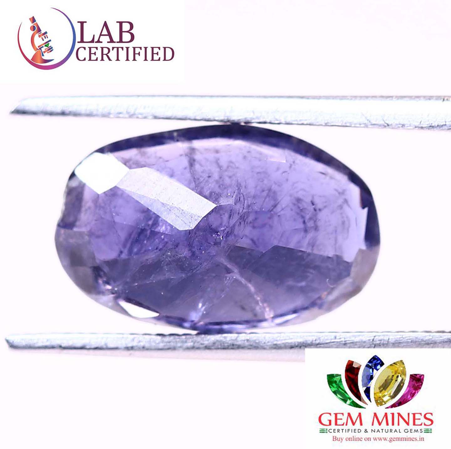 NIL963 2 Iolite(Nilli) 3.09 Ct.