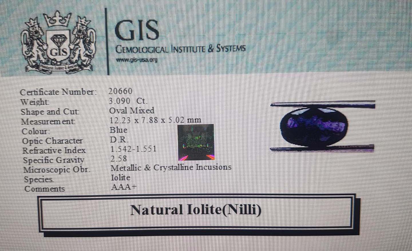 NIL963 4 Iolite(Nilli) 3.09 Ct.