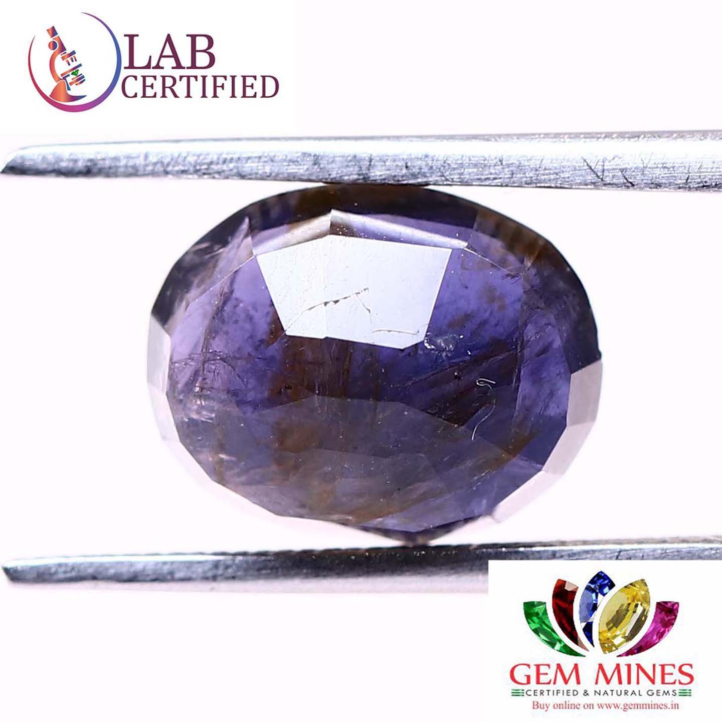 NIL965 2 Iolite(Nilli) 2.98 Ct.