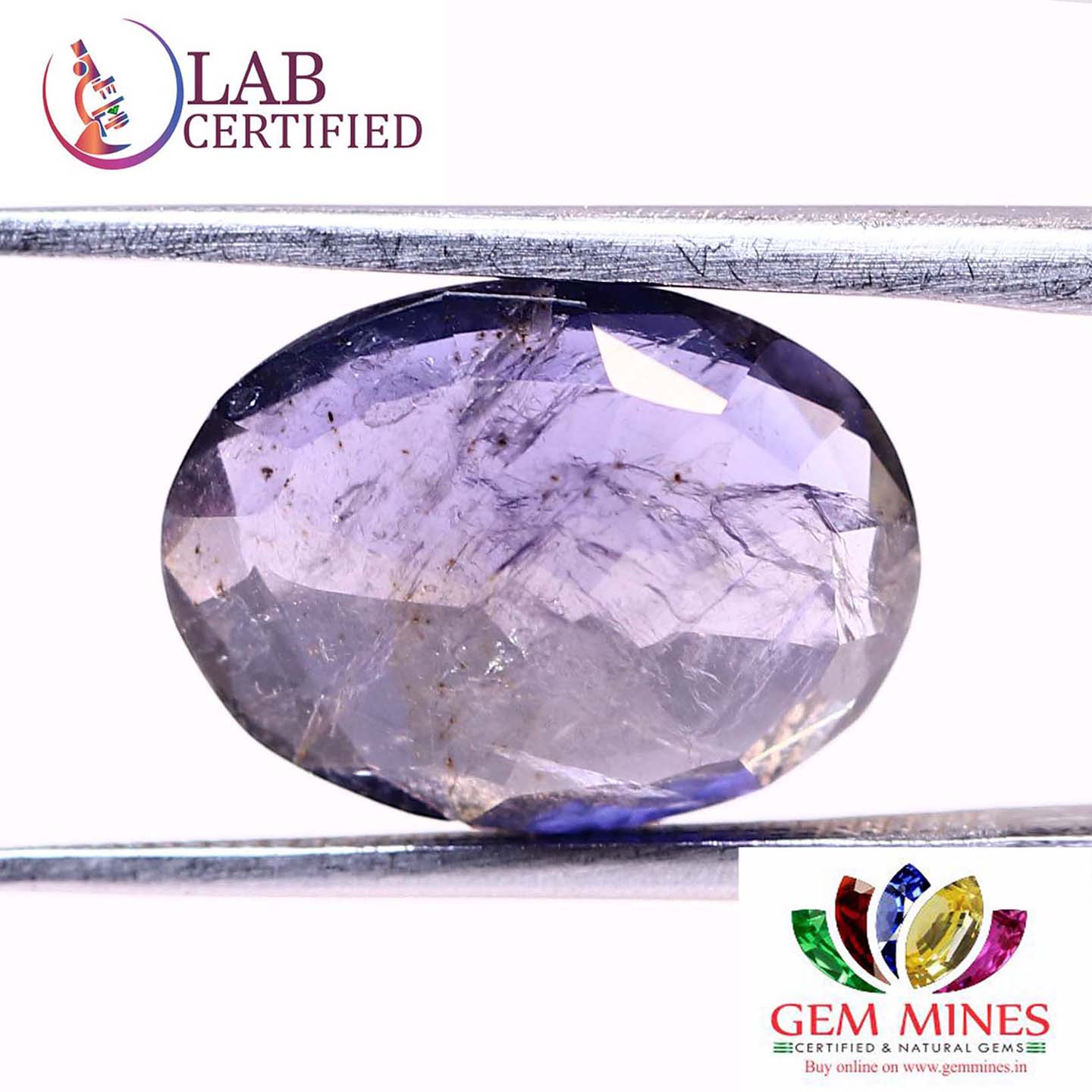 NIL966 2 Iolite(Nilli) 3.87 Ct.
