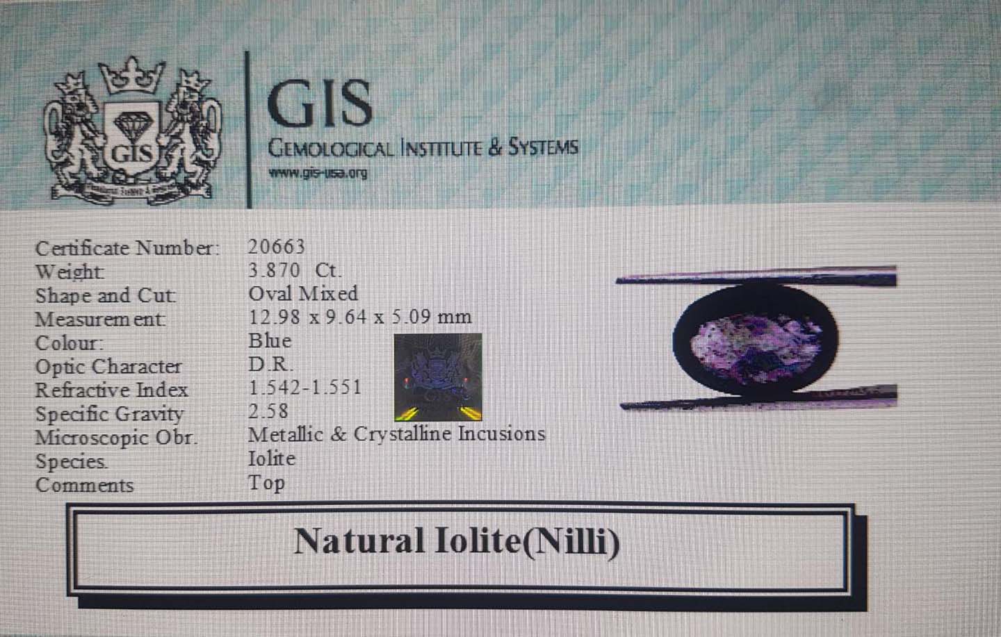 NIL966 4 Iolite(Nilli) 3.87 Ct.