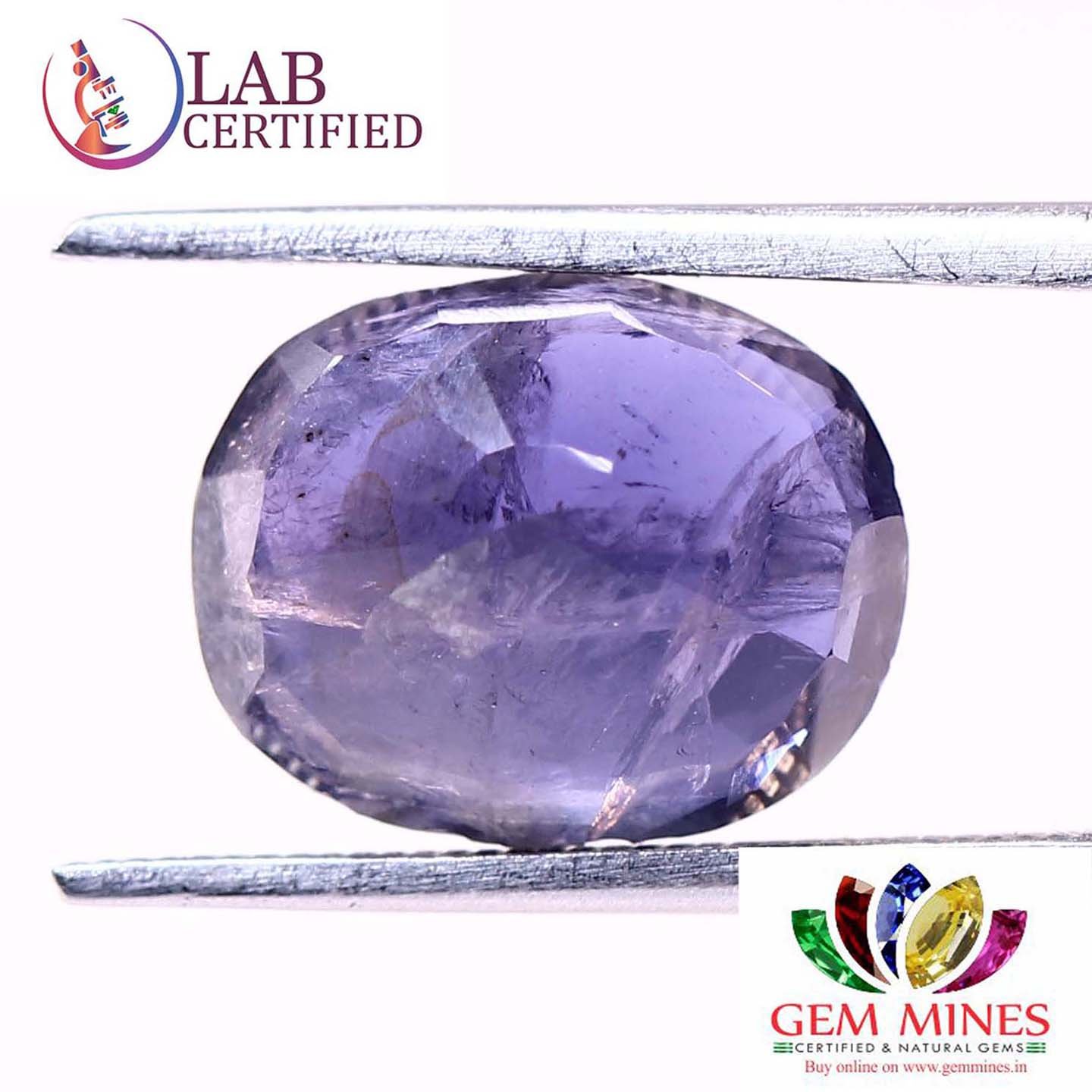 NIL967 2 Iolite(Nilli) 3.51 Ct.