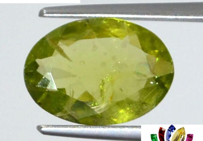 NPD209 1 e1680005970297 Peridot 2.65 Ct.