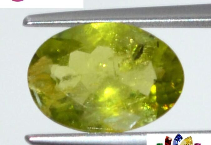 NPD218 1 e1680063123983 Peridot 2.62 Ct.