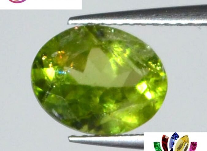 NPD299 1 e1680067664995 Peridot 2.73 Ct.
