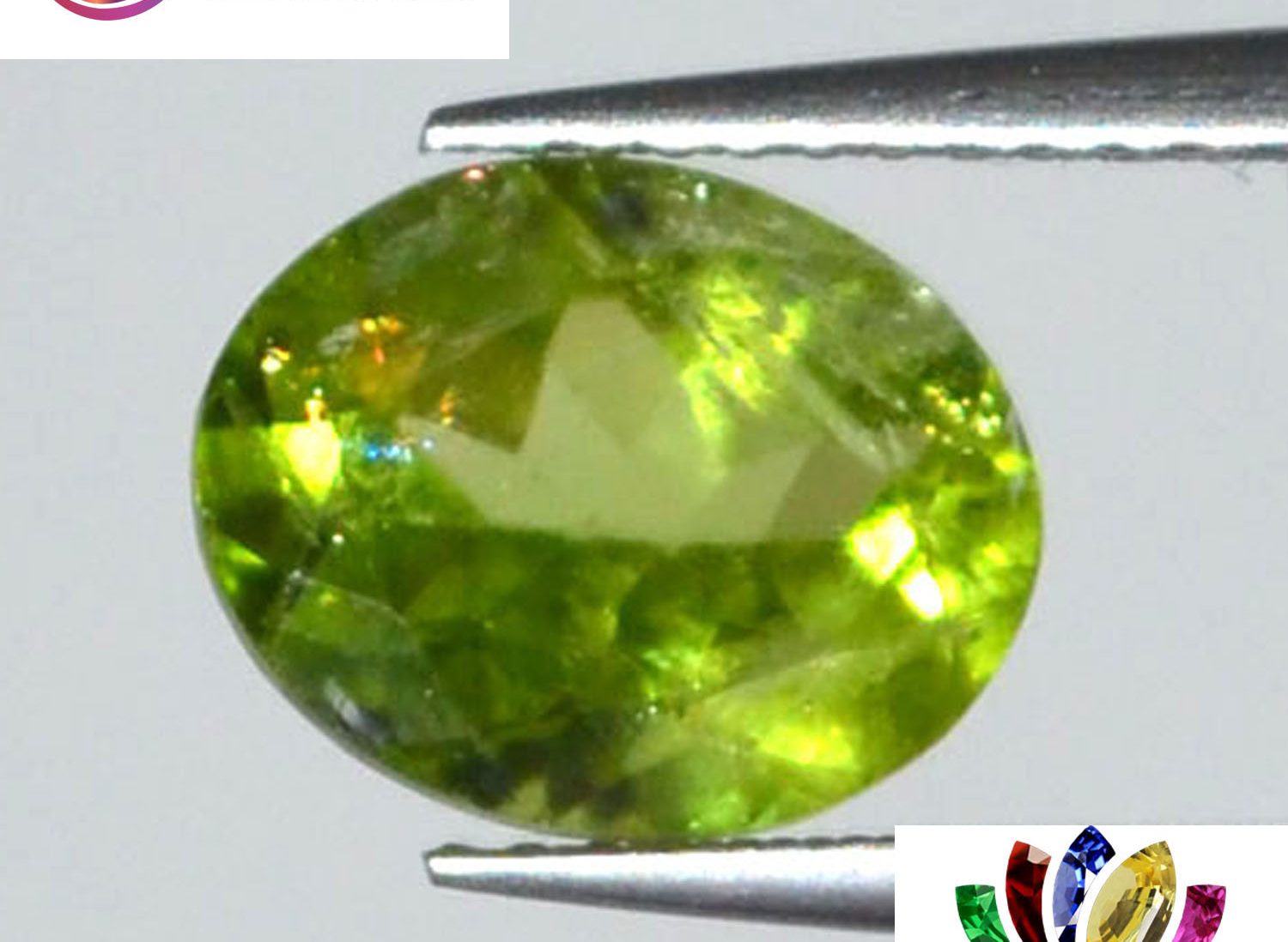 Peridot 2.73 Ct.