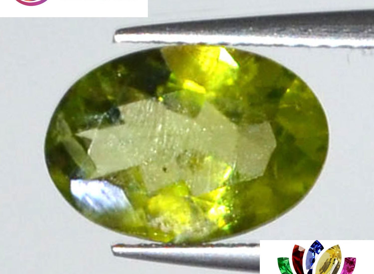 Peridot 2.49 Ct.
