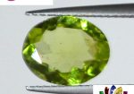 Peridot 2.3 Ct.