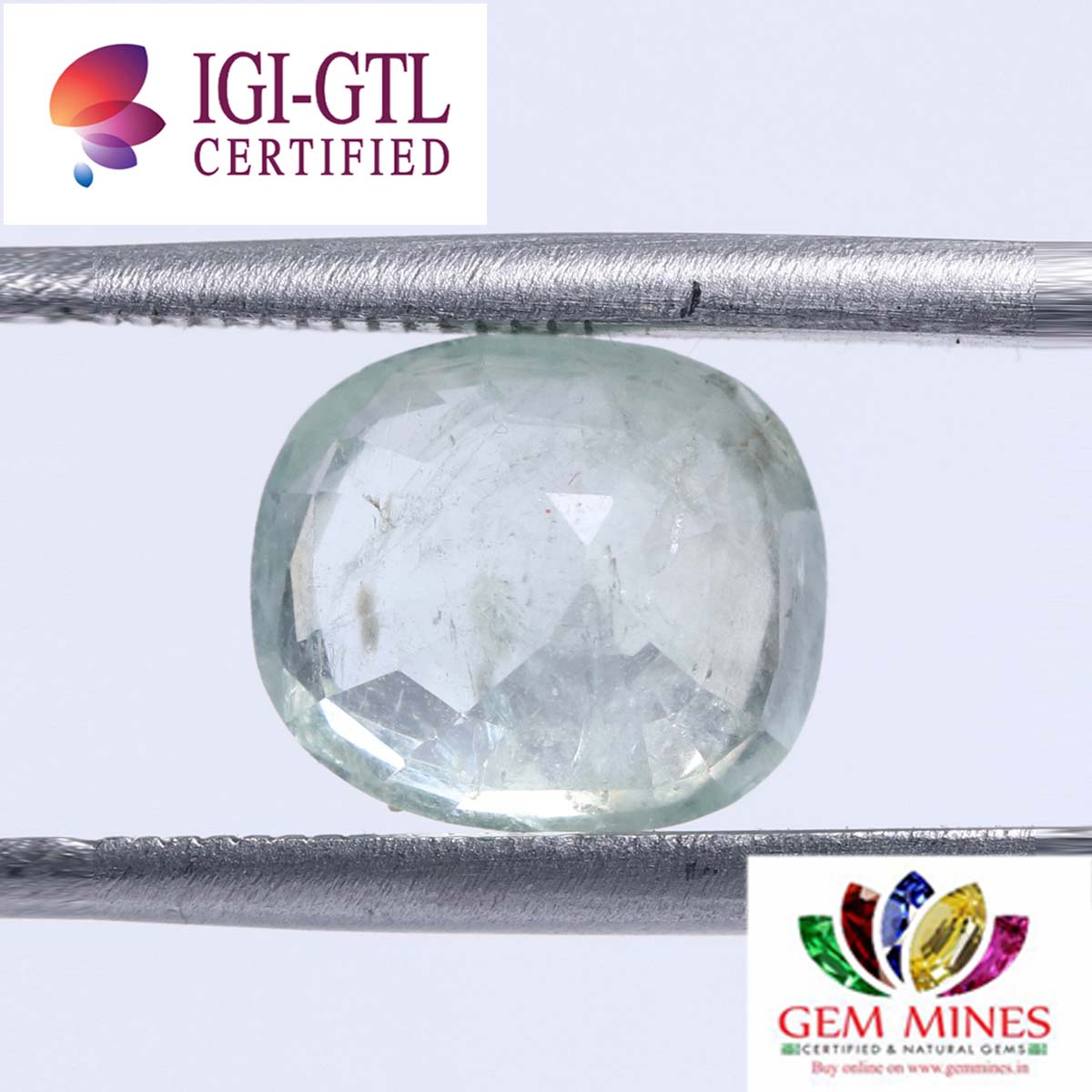 NSP644 2 Sapphire 4.3 Ct.