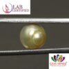 PEARL 5.45 Ct.
