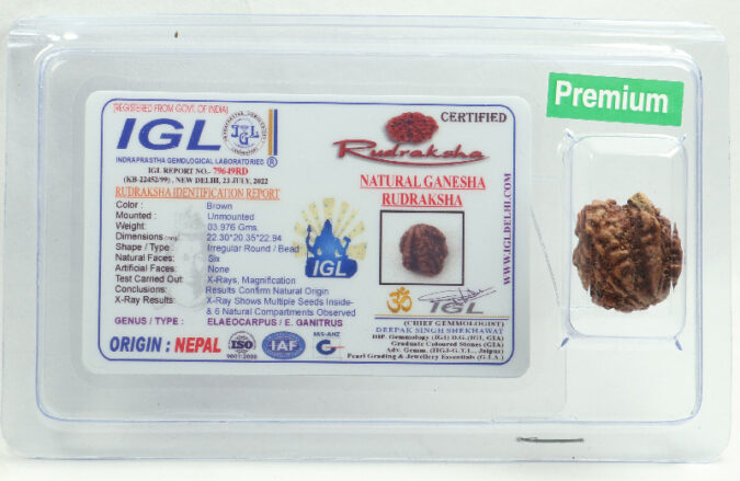 Ganesha Rudraksha | Premium