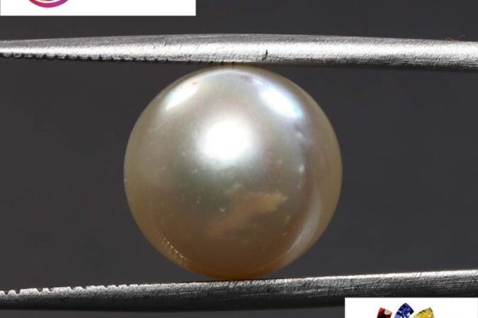 South Sea Pearl 12.27 Ct.