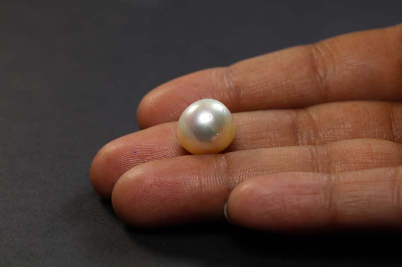 South Sea Pearl 12.27 Ct.