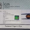 Tiger's Eye 1.25 Ct.