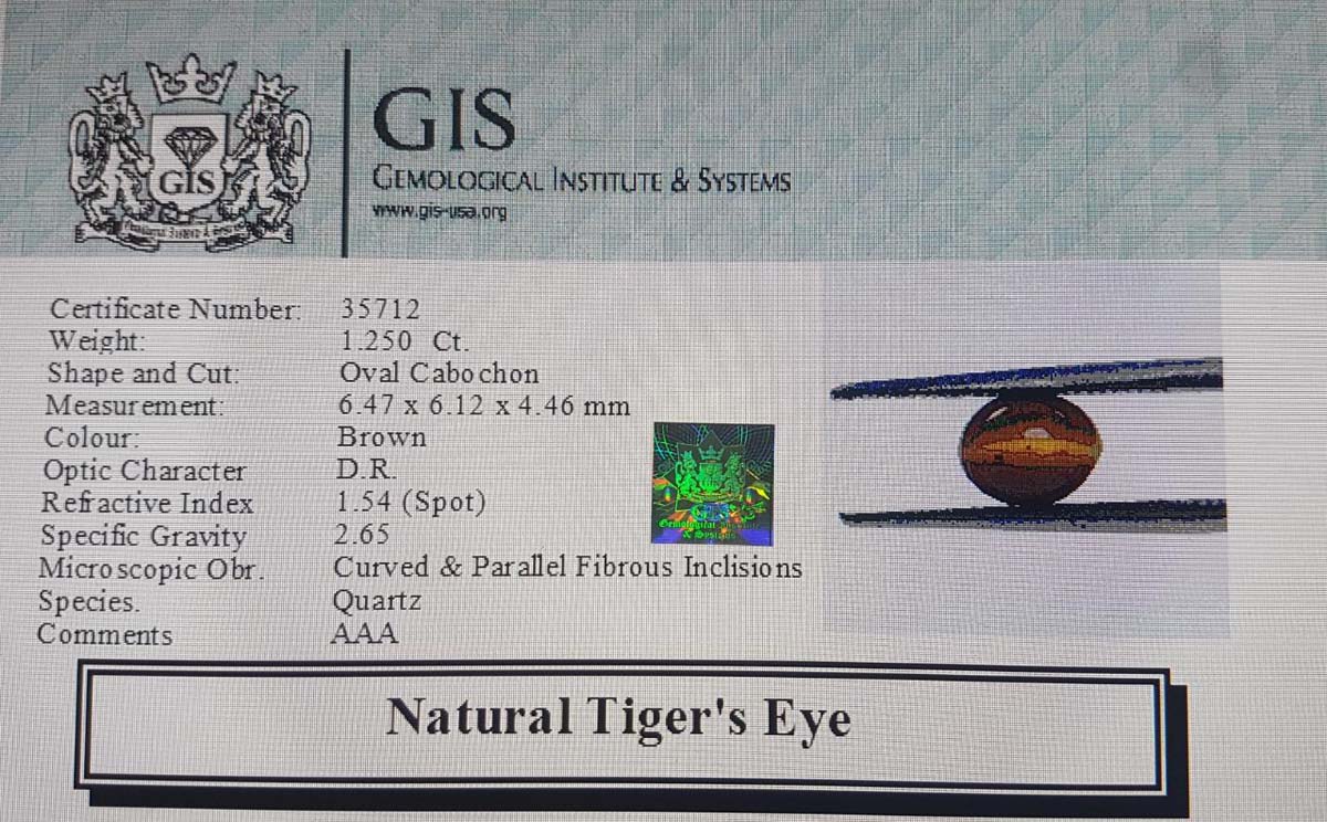 Tiger's Eye 1.25 Ct.