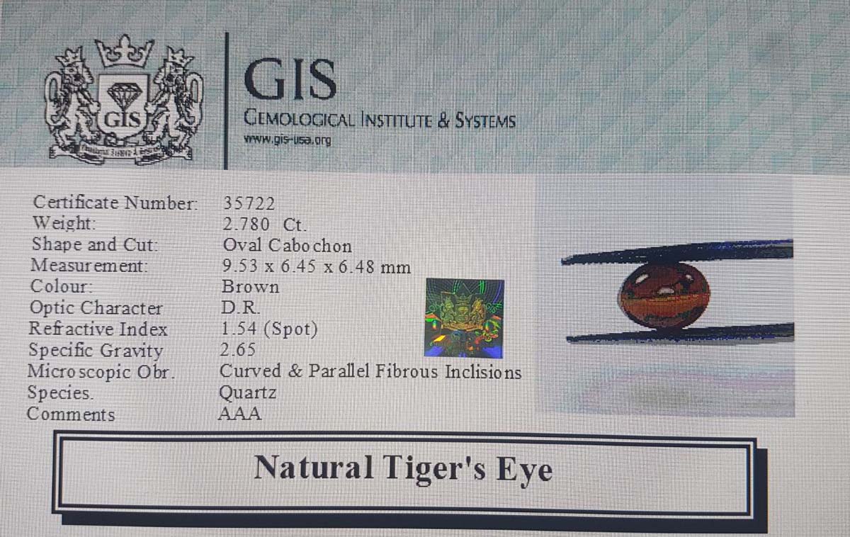 Tiger's Eye 2.78 Ct.
