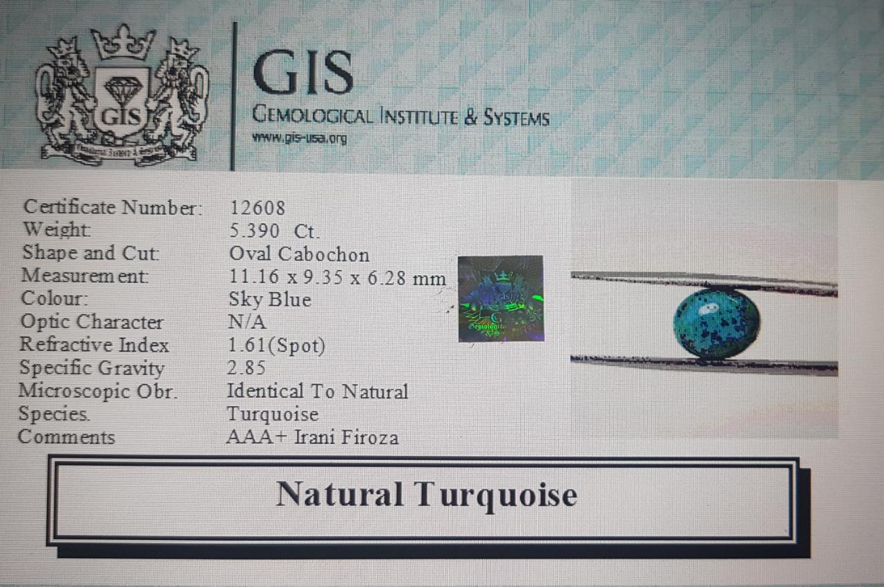 Turquoise 5.39 Ct.