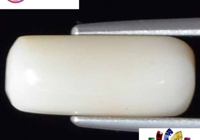 WC101 1 e1680678889335 White Coral 3.94 Ct.
