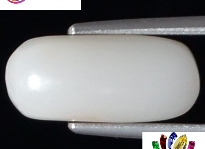 WC103 1 e1680678883914 White Coral 3.88 Ct.