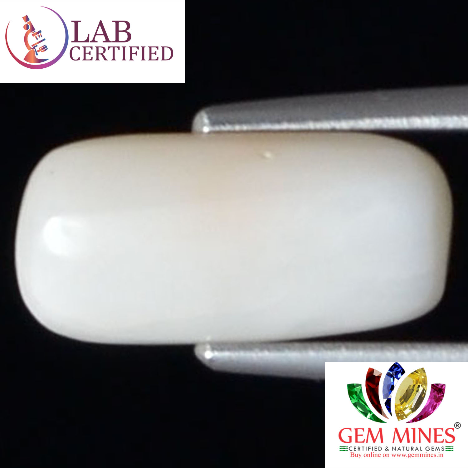 White Coral 3.5 Ct.