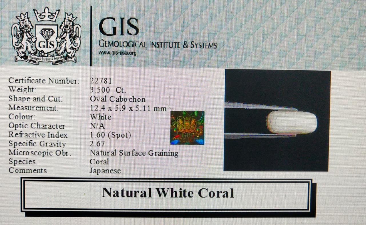 White Coral 3.5 Ct.