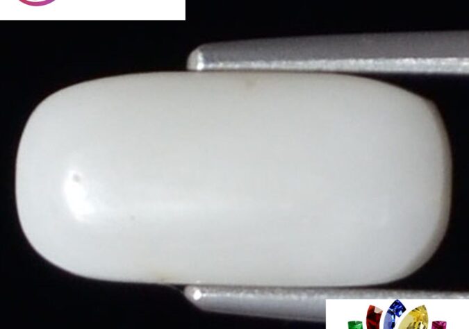 WC105 1 e1680678897122 White Coral 3.06 Ct.