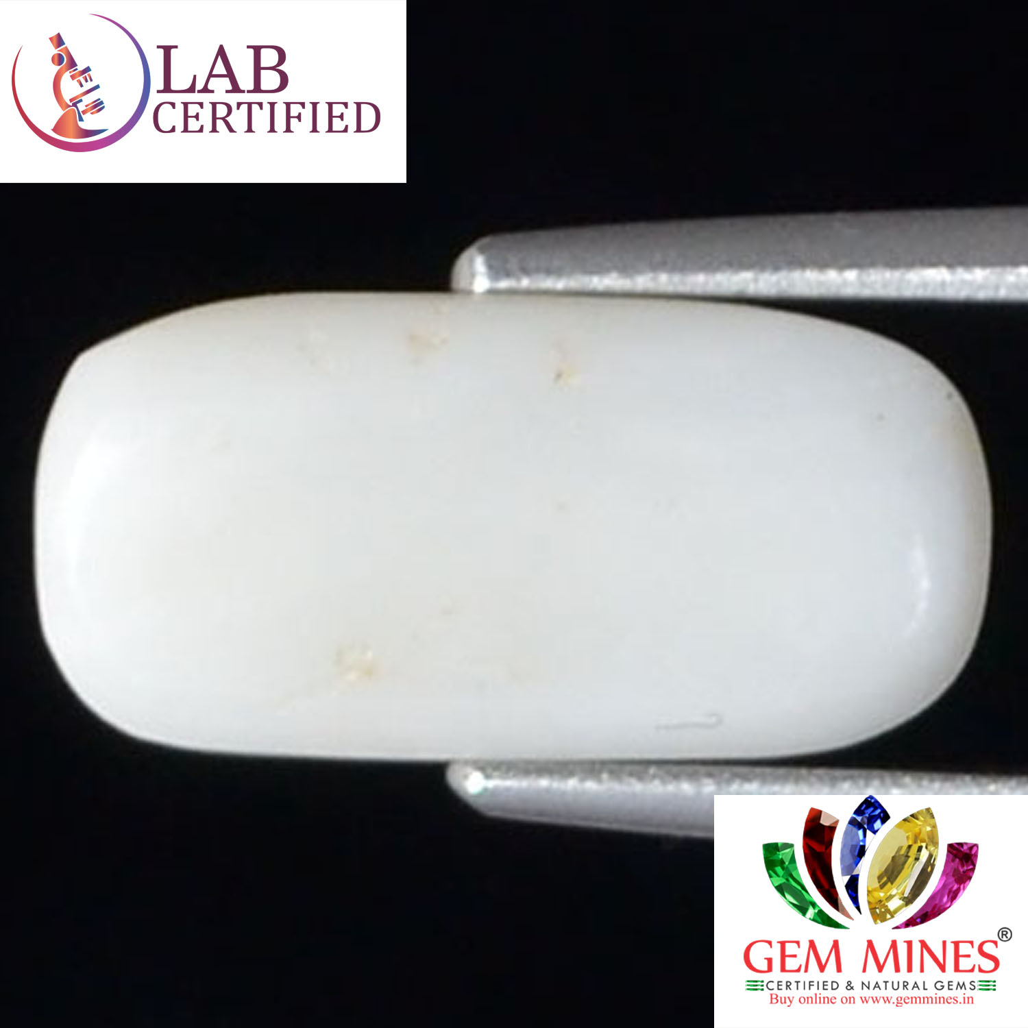 WC105 2 White Coral 3.06 Ct.