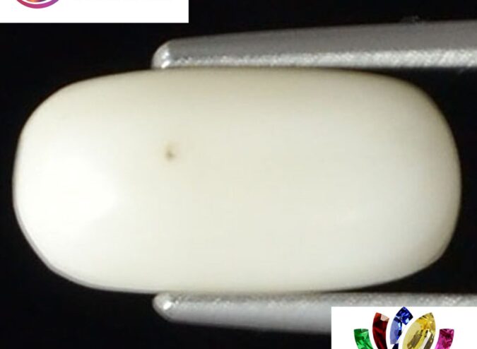 WC107 1 e1680679246141 White Coral 3.11 Ct.