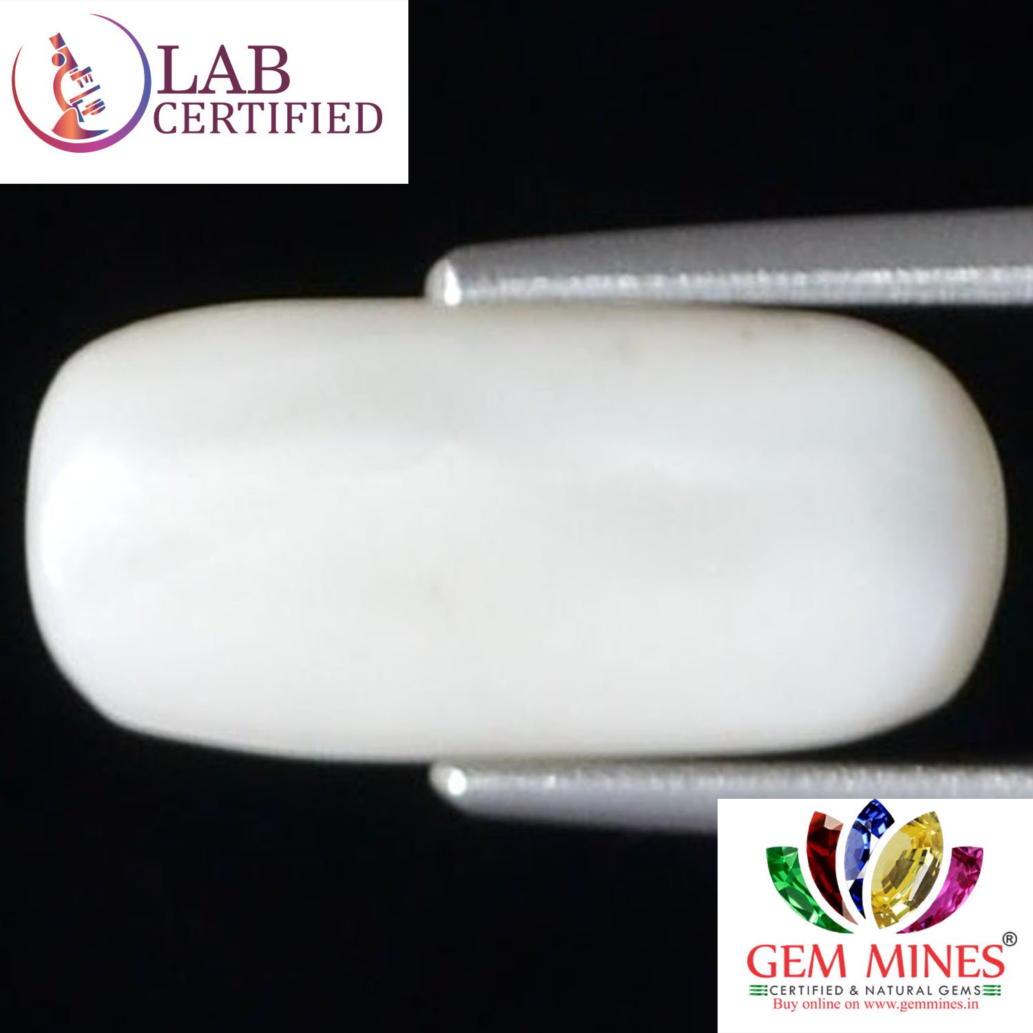 WC108 2 White Coral 3.76 Ct.