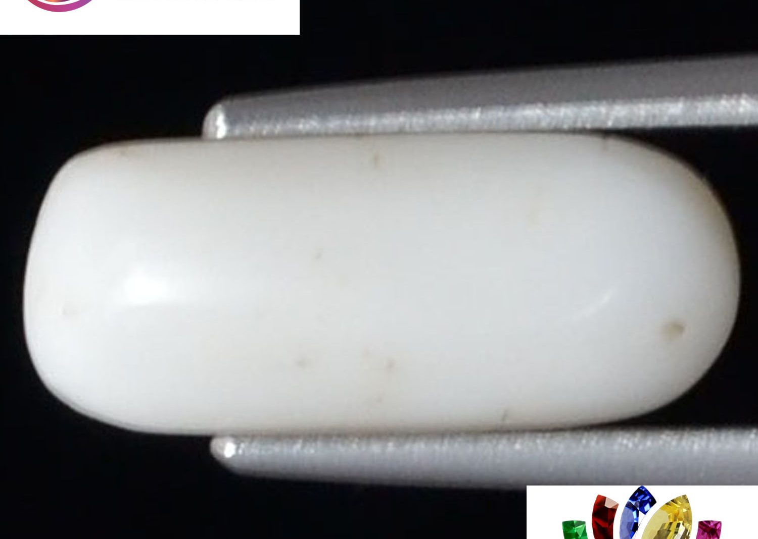 White Coral 3.68 Ct.