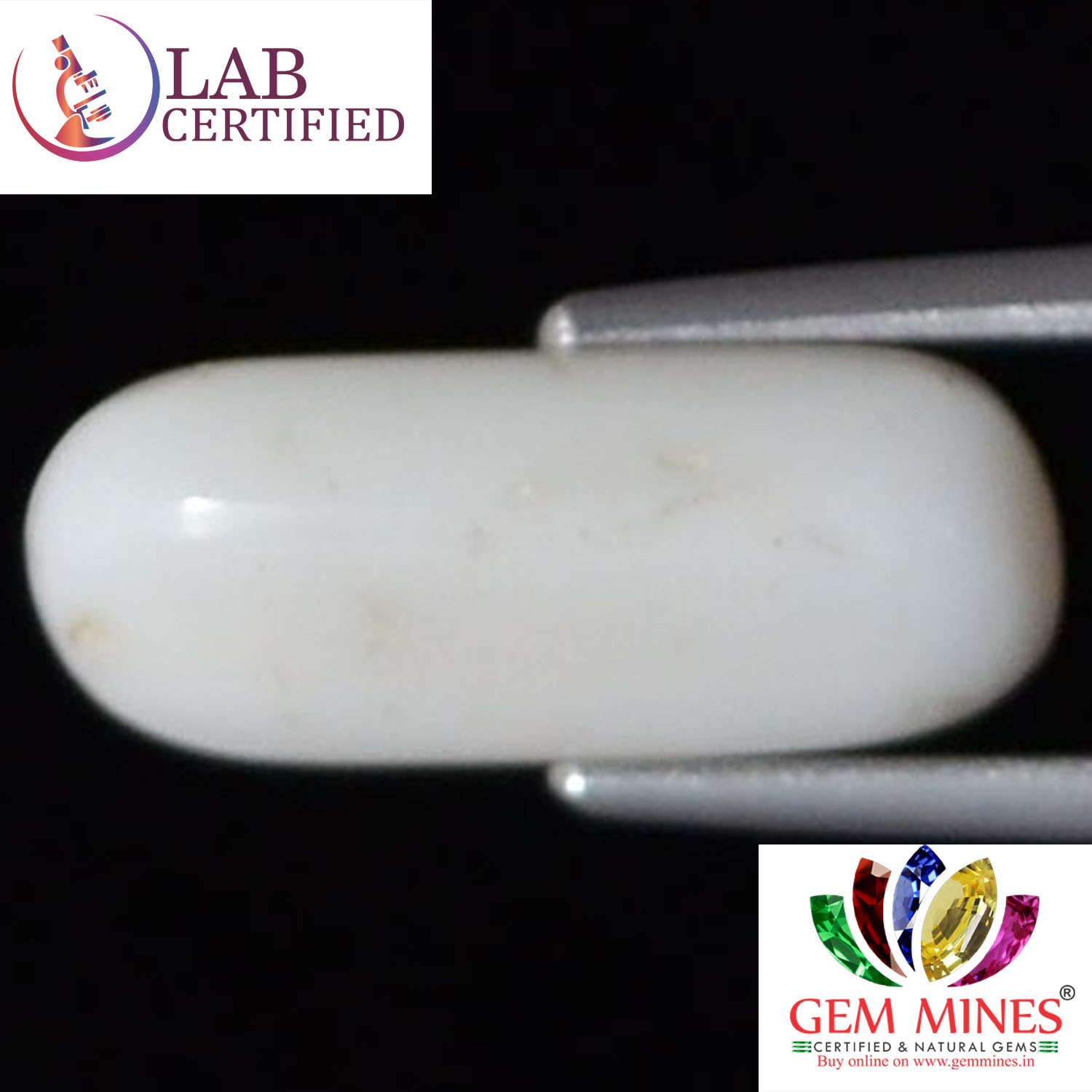 WC109 2 White Coral 3.68 Ct.