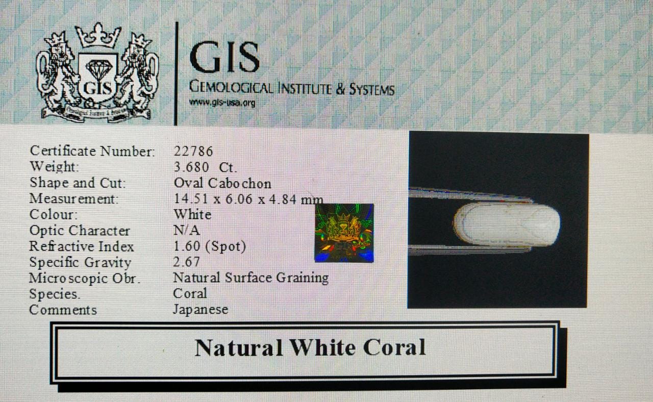 WC109 4 White Coral 3.68 Ct.