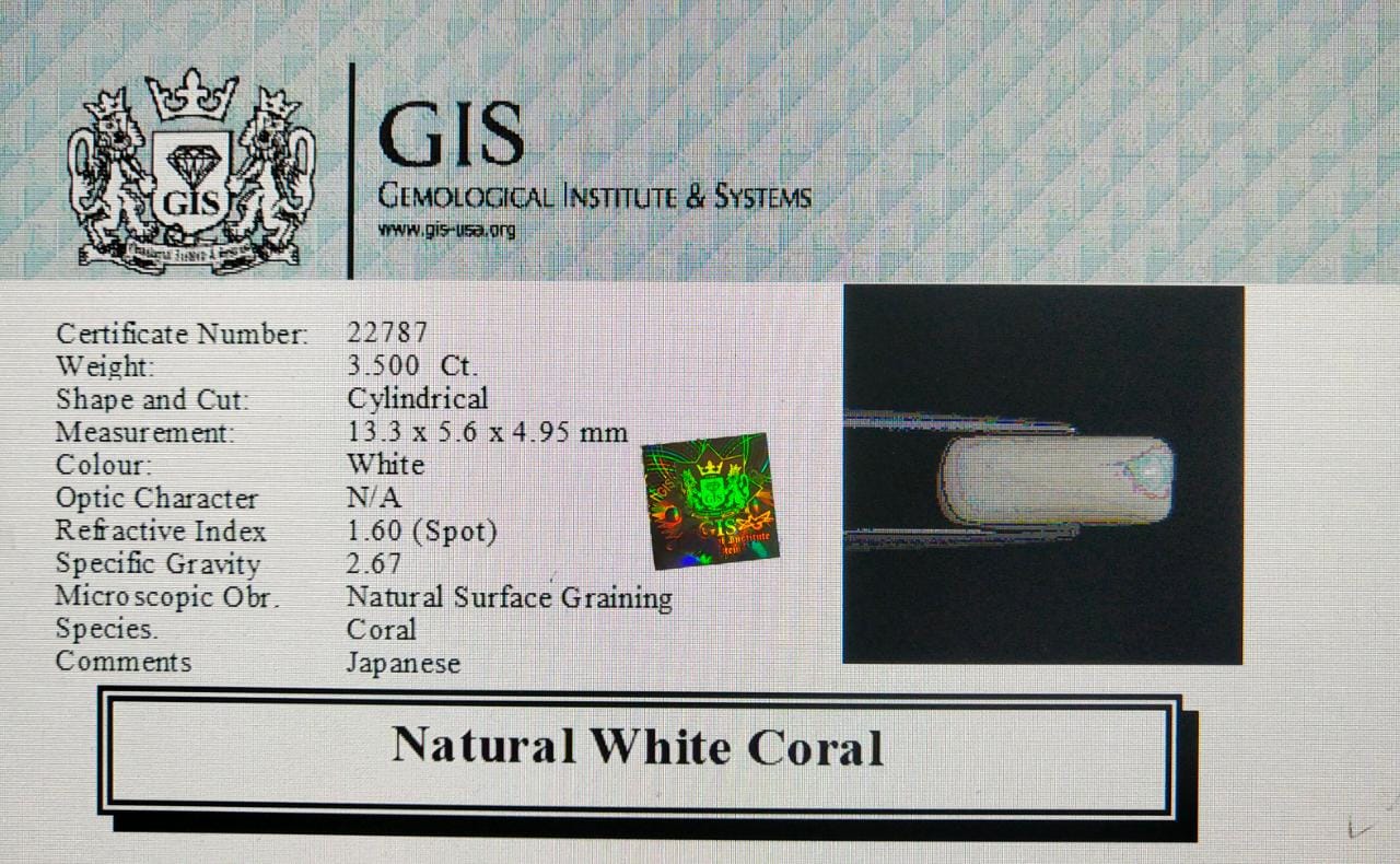 White Coral 3.5 Ct.